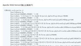 SEO超级伪静态+V3.7.10+高级版-discuz插件源码addon_seo_rewrite