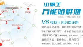小霸王万能站群池v6.3网站系统带教程带标签说明