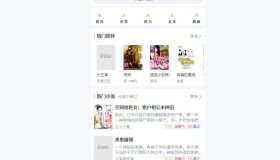 ptcms精美小说阅读网站源码