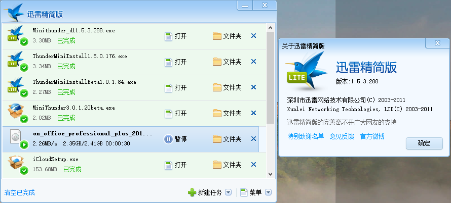 你见过无广告的3Mb的迅雷么?
